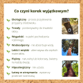 Właściwości korka portugalskiego.